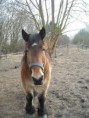 /album/katy/moments-de-detente-055-jpg1/